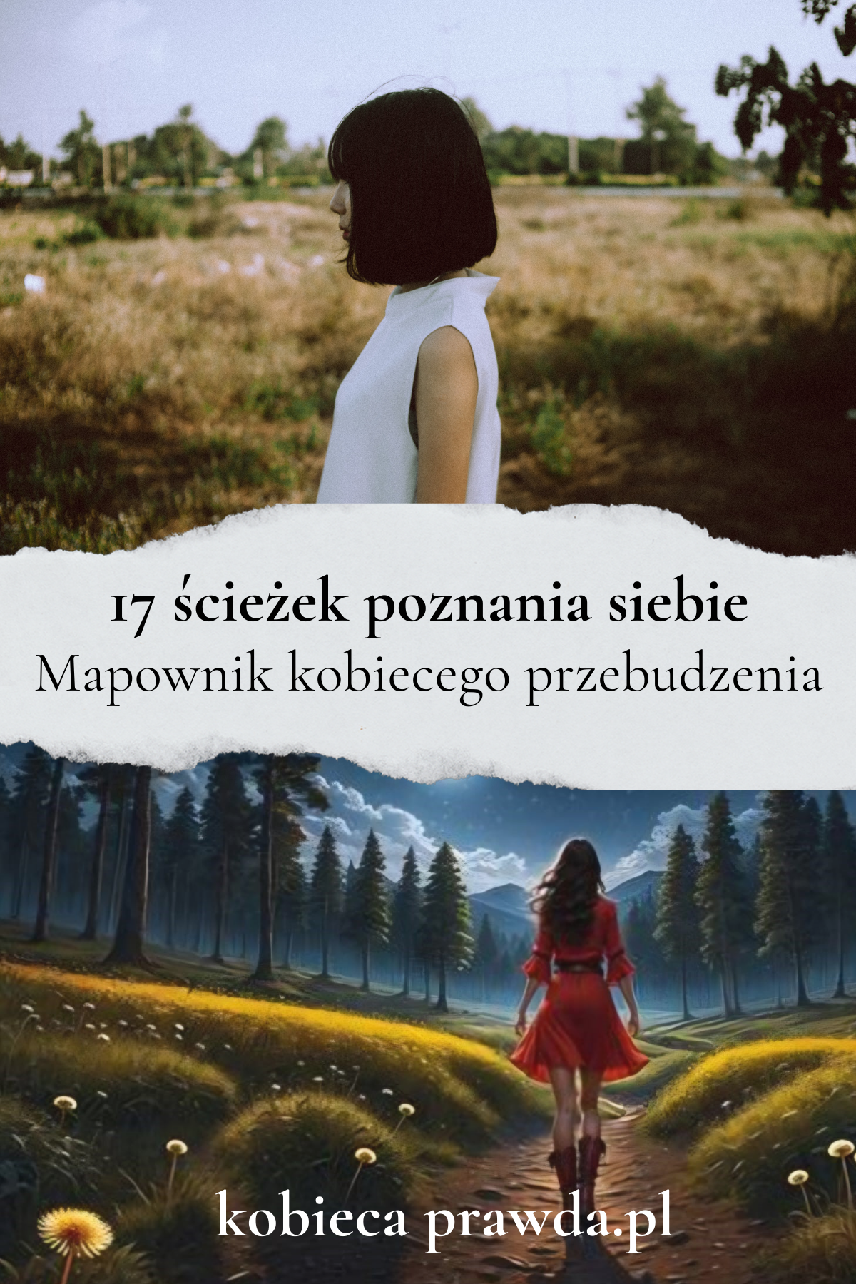 Mapownik kobiecego przebudzenia e-book